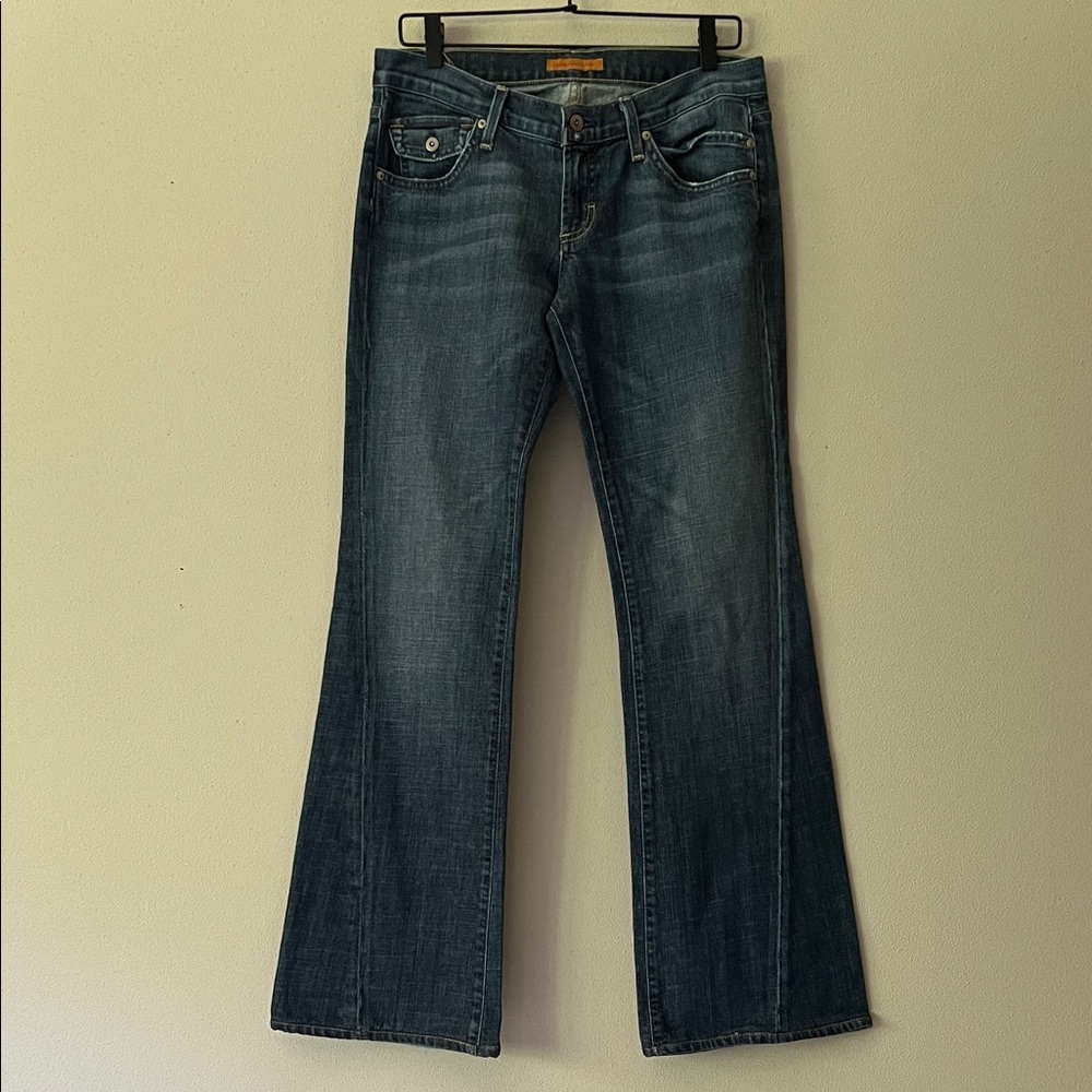 JAMES JEANs Wide Leg Flare denim
